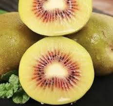 Actinidia 'Hoongyang- termős sárga húsú kivi Actinidia 'Hoongyang- termős sárga húsú kivi