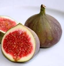 Ficus carica 'Györöki lapos' - füge Ficus carica 'Györöki lapos' - füge