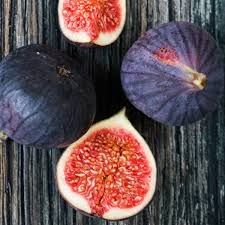 Ficus carica 'Turca' - füge bokor, Tm 100